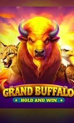 Buffalo Hold And Win